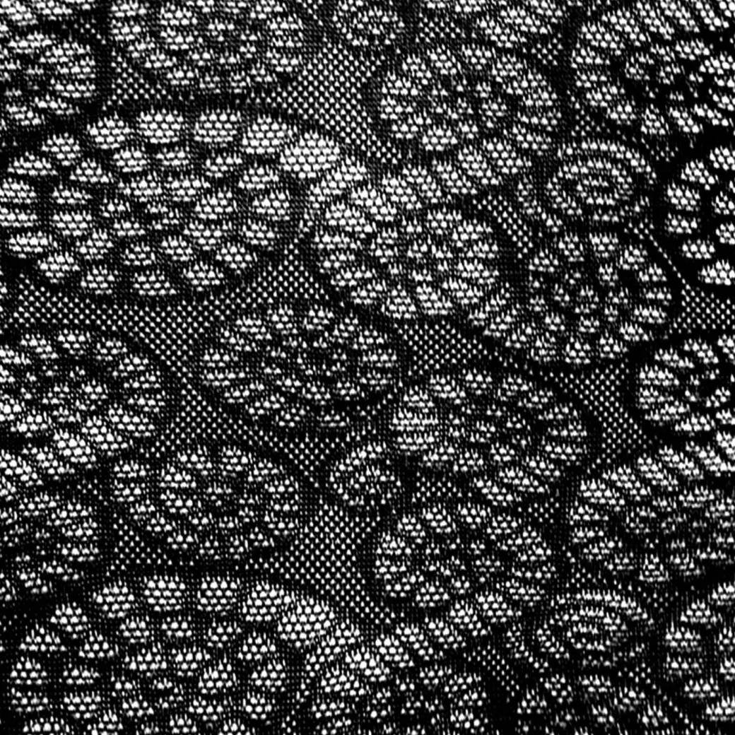 Ammonite Fossil Tights