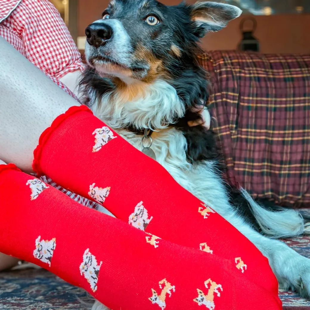 Ultimate Bamboo Ankle Socks - Woof